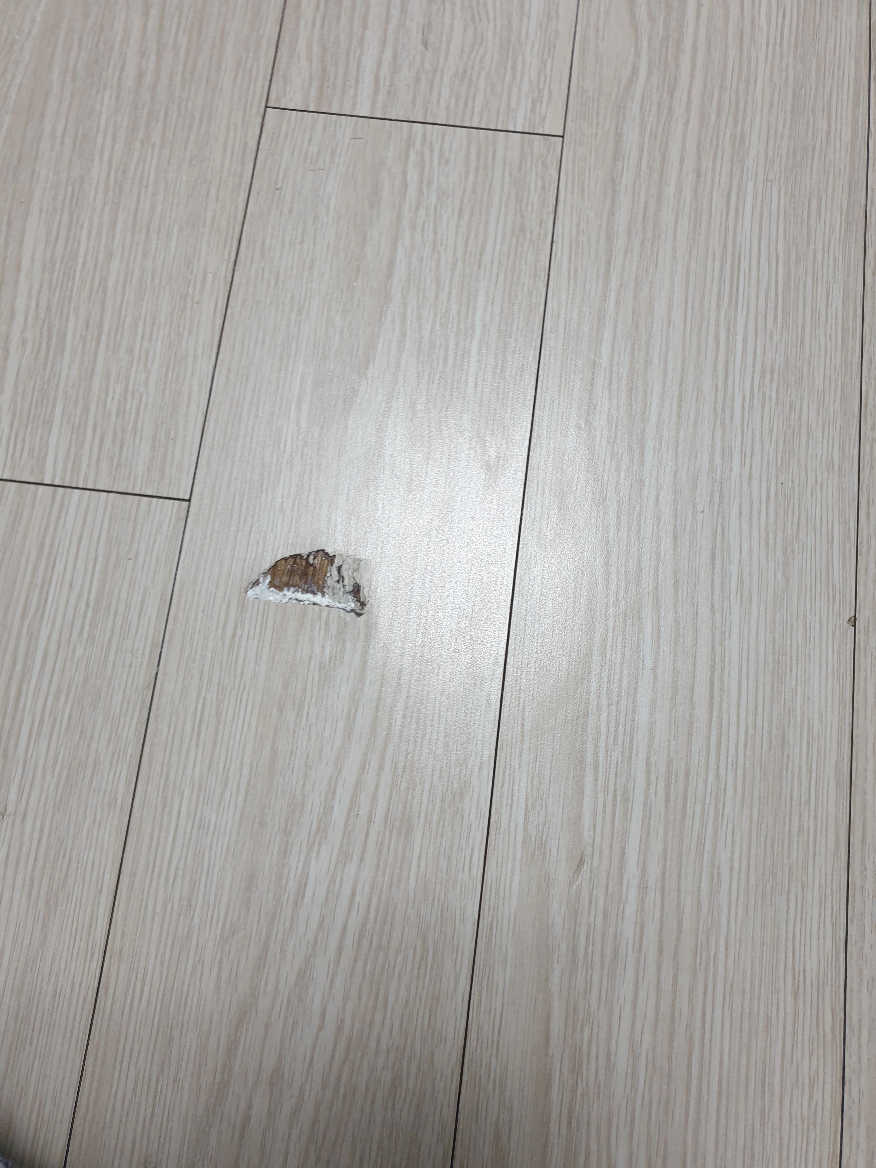 바닥 마루 교체 서울 관악 5