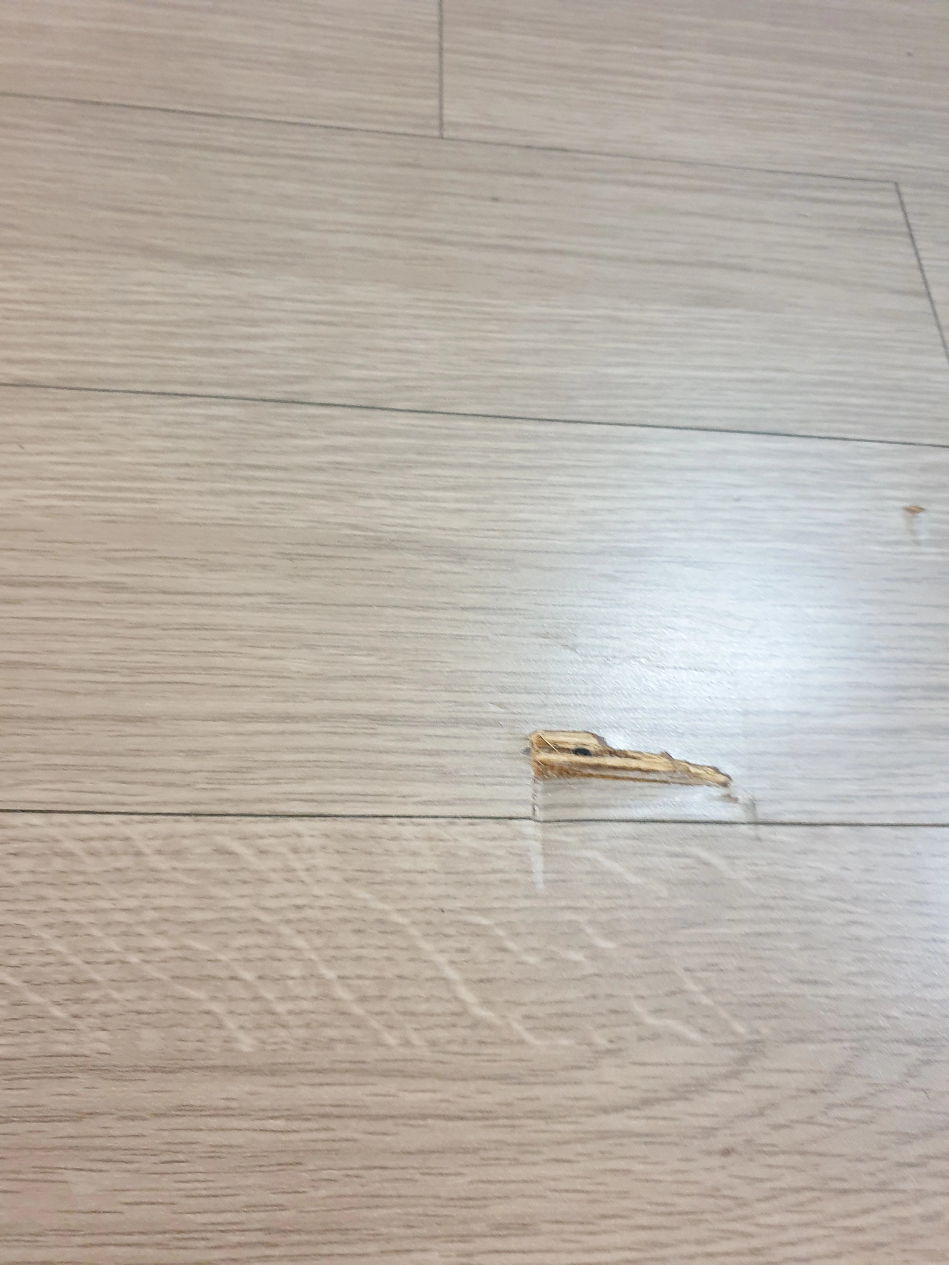 강마루 시공 경기 의왕 5