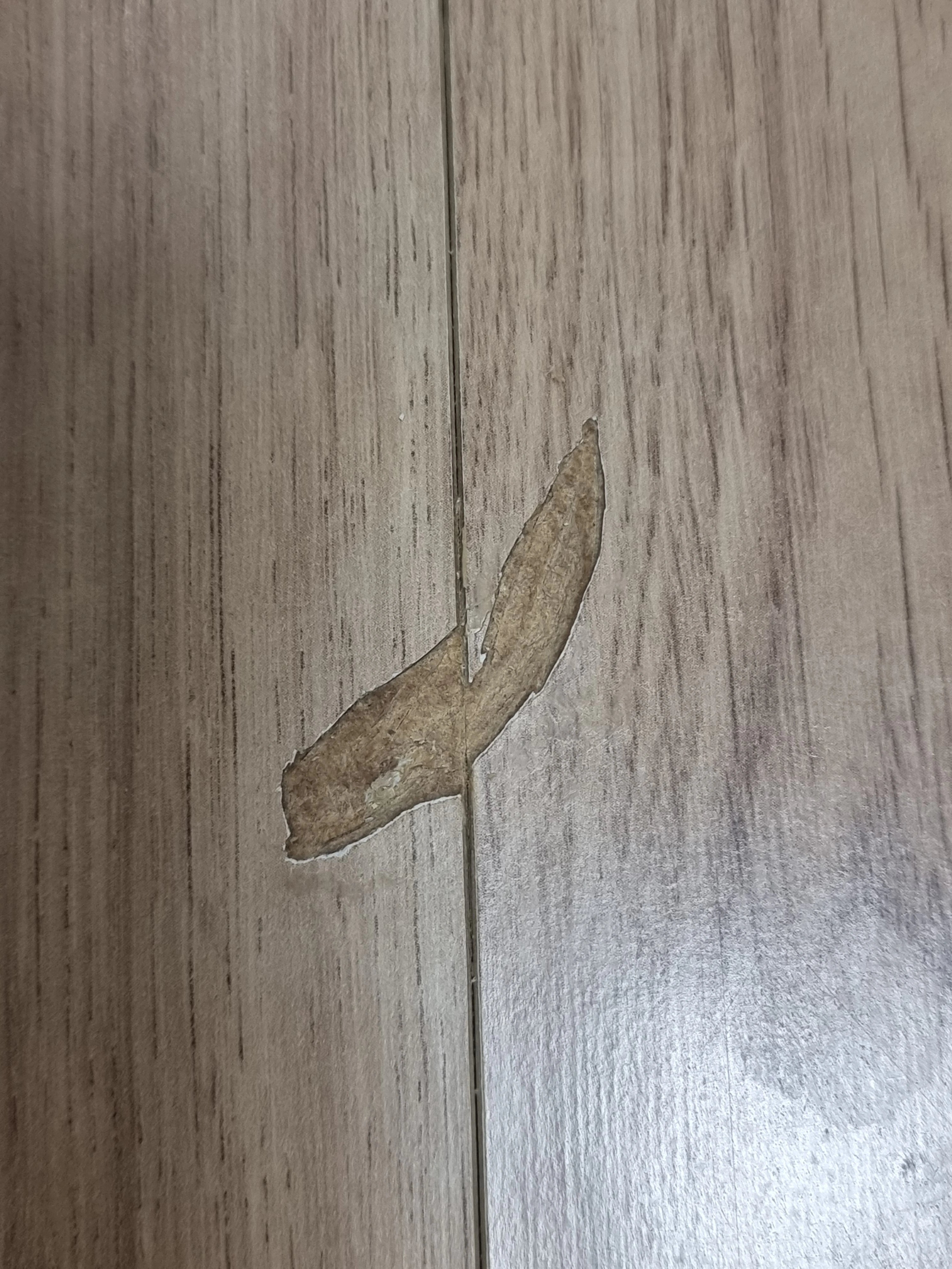 걸레받이 교체 경기 평택 1