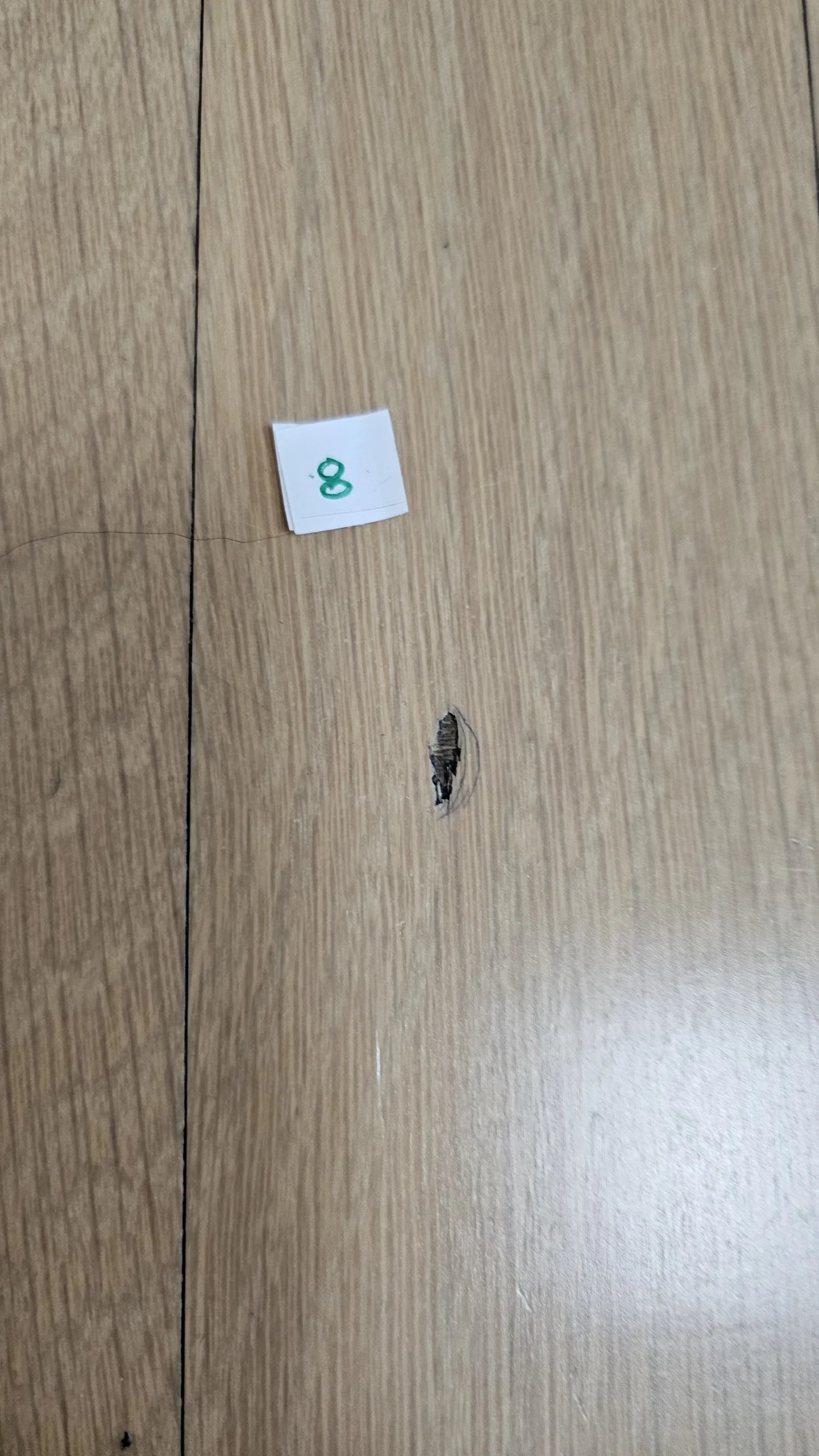 실내 바닥 마루 보수 (점검 중) · 경기 안성