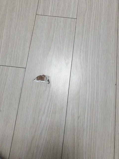 마루 긁힘·패임 보수 경기 김포