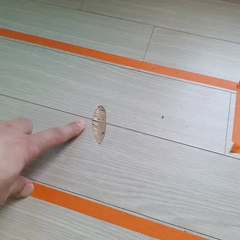 Flooring 서울 마포