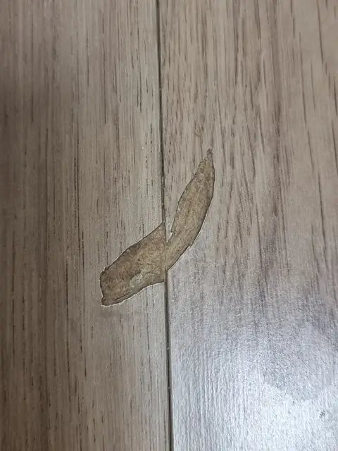 Flooring 경기 평택