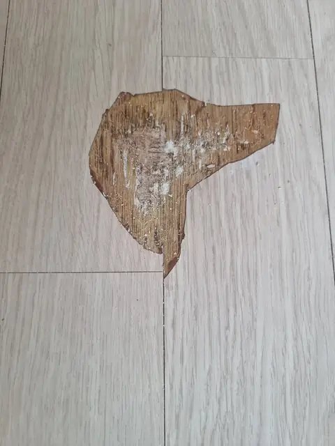 마루 복원 경기 의정부