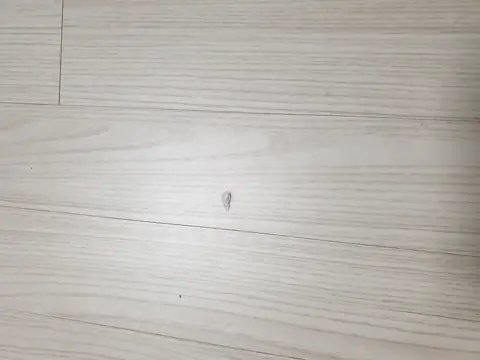 바닥 마루 교체 경기 오산