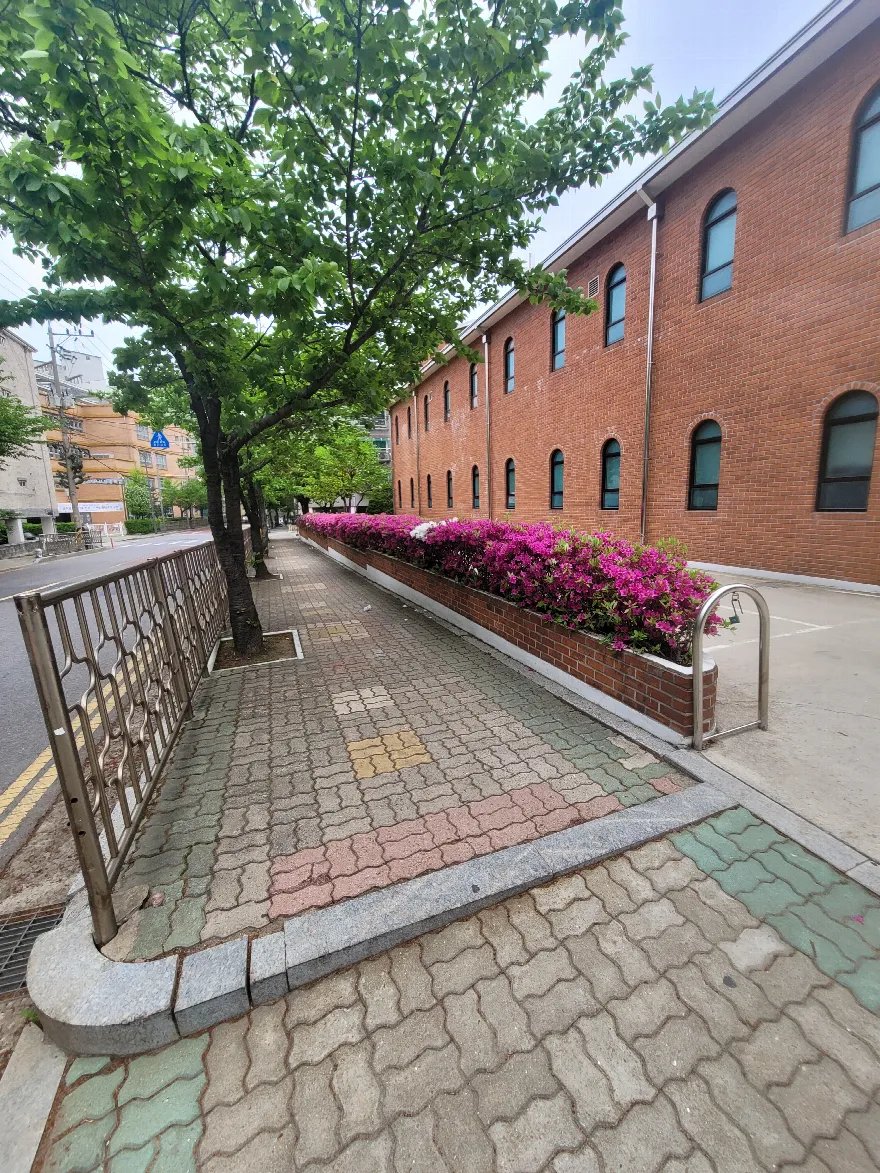 새로 조성한 화단이 완성된 모습입니다.