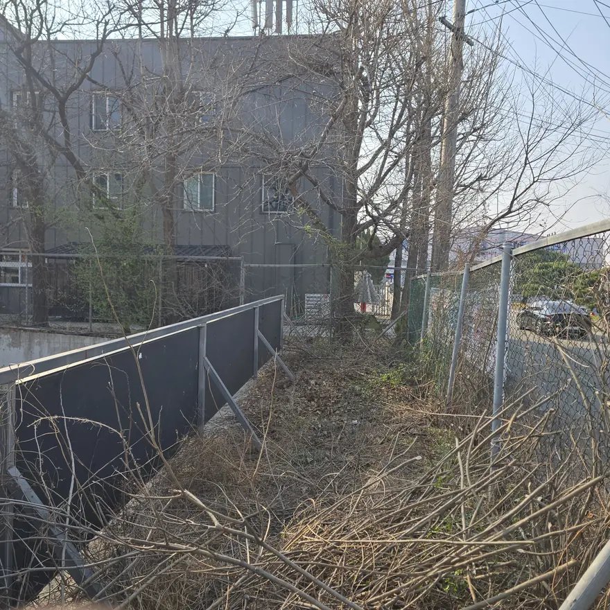 벌목 후 정리 경기 수원 4