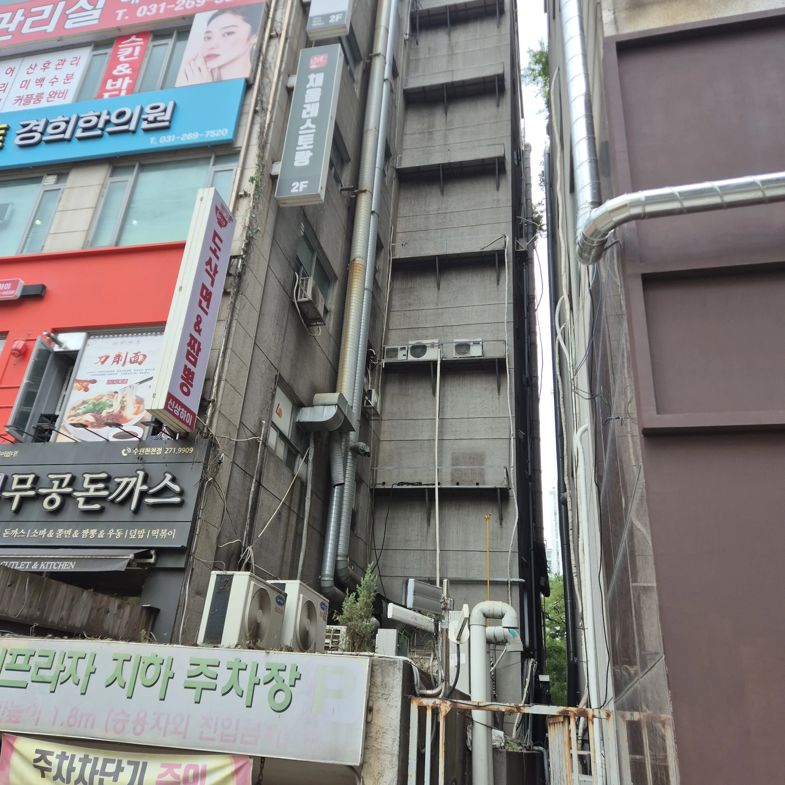 경기 성남 가지치기 작업