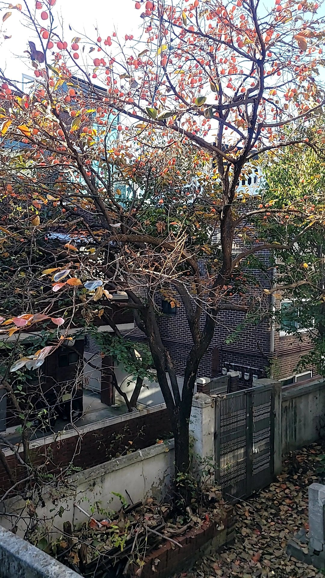 예초·벌초 작업 서울 은평 5