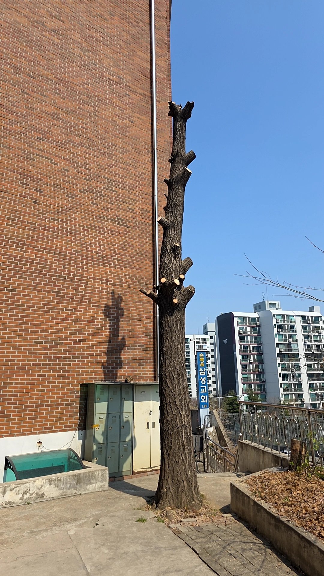 가지치기 작업 경기 안산 5