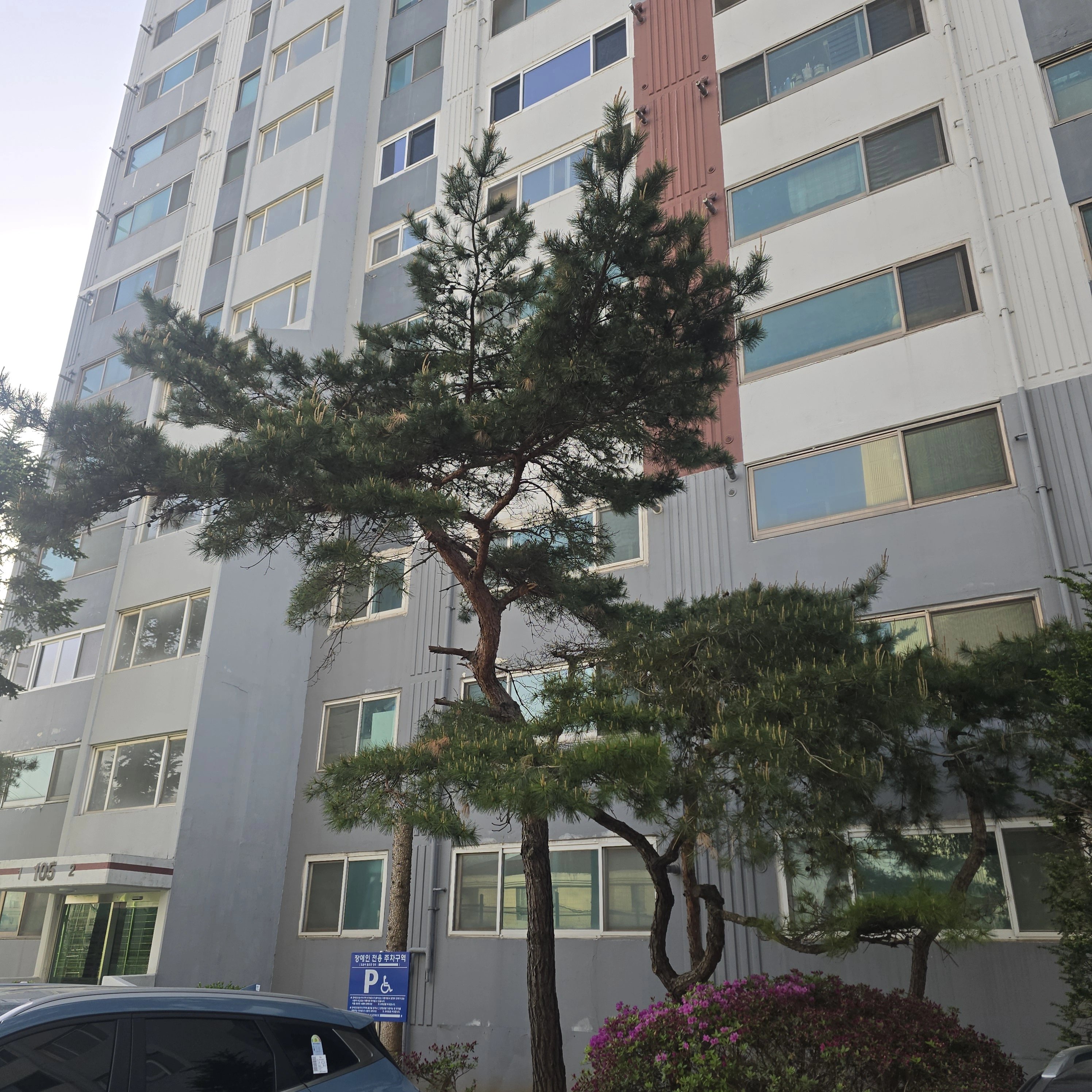 가지치기 작업 경기 안성 5