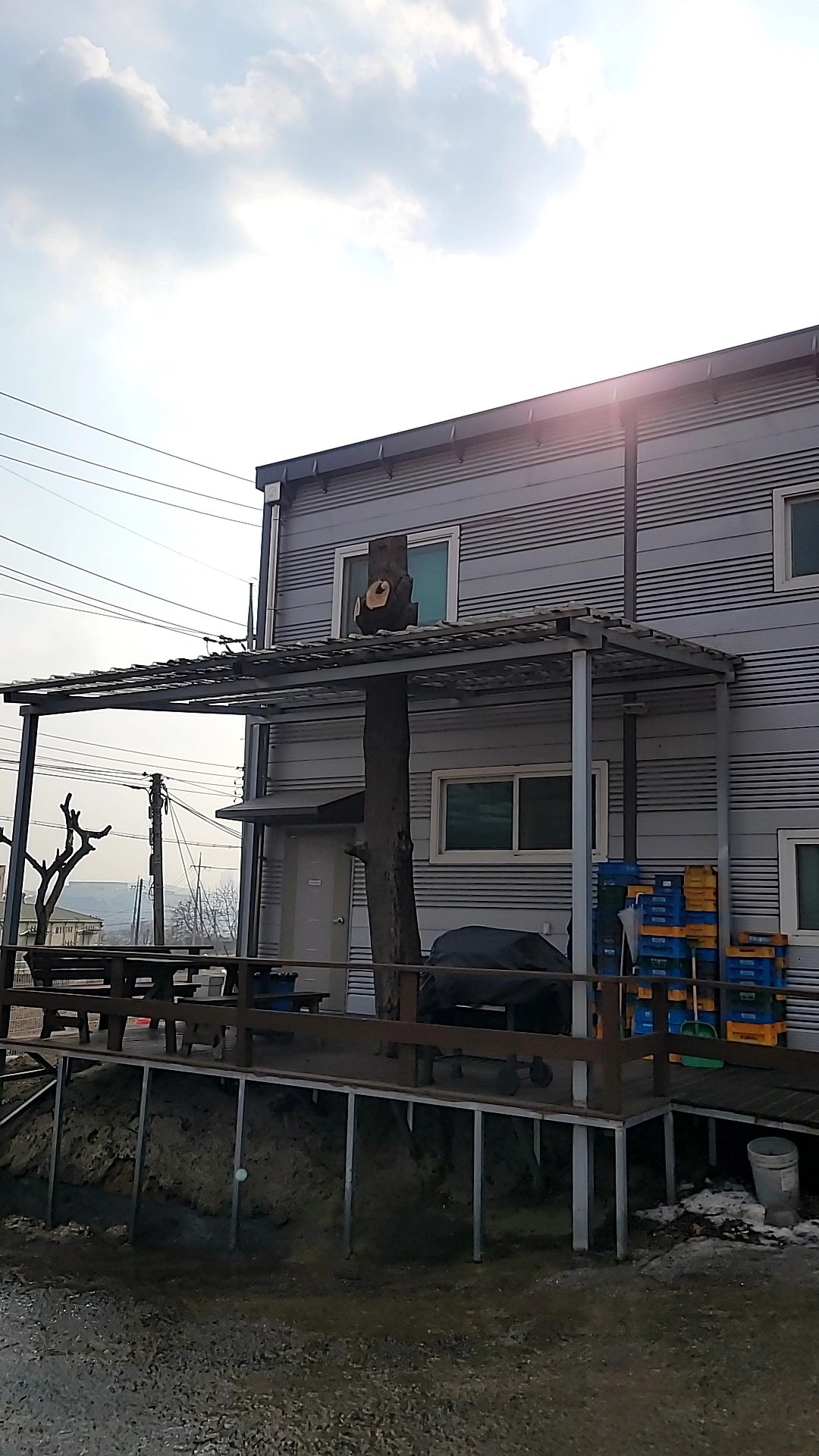 고사목 제거 경기 부천 4