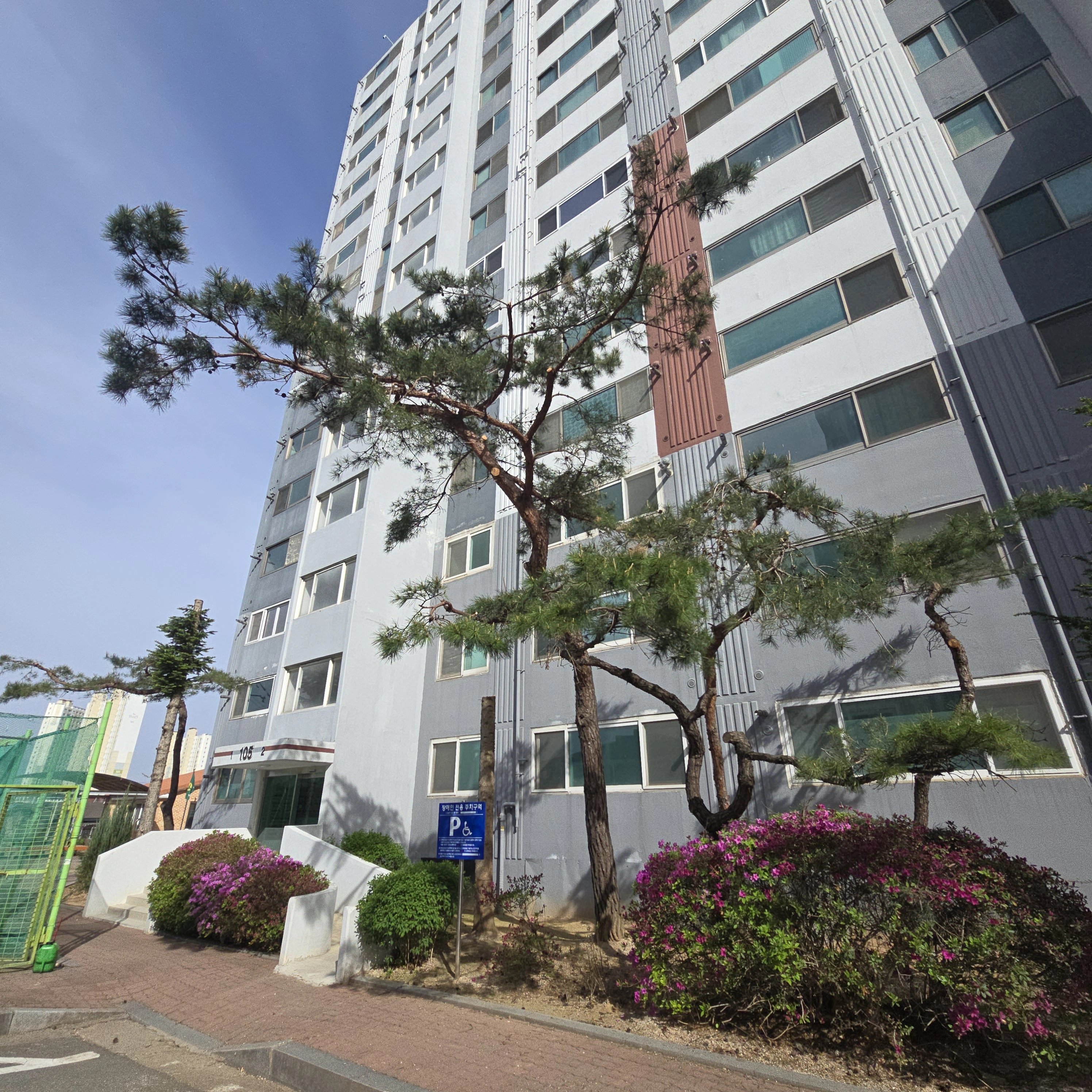 벌목 후 정리 경기 고양 5