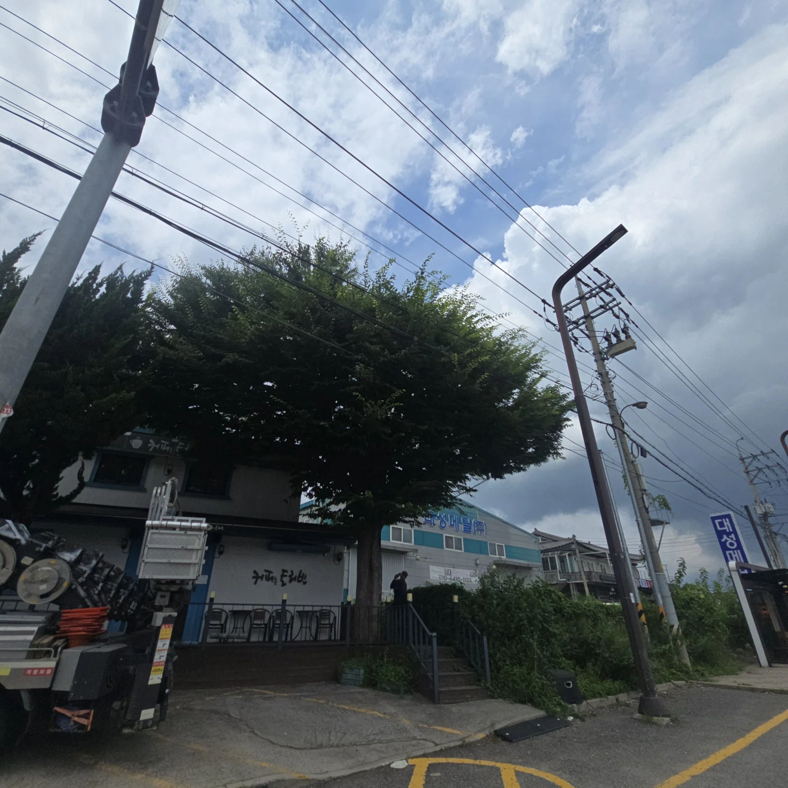 경기 광명 월담목 제거