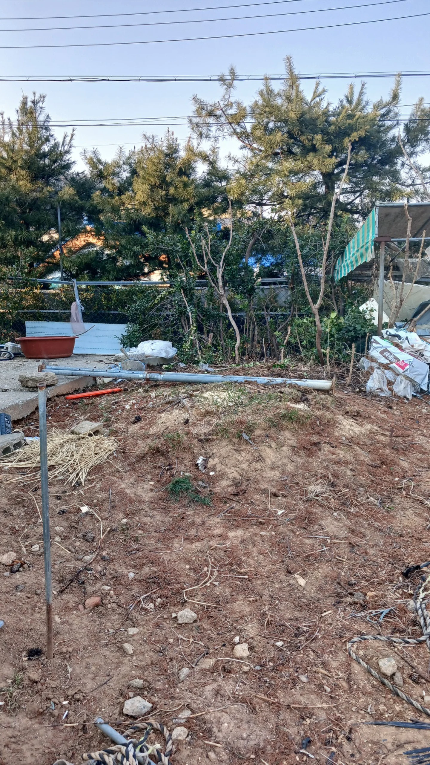 경기 광주 월담목 제거
