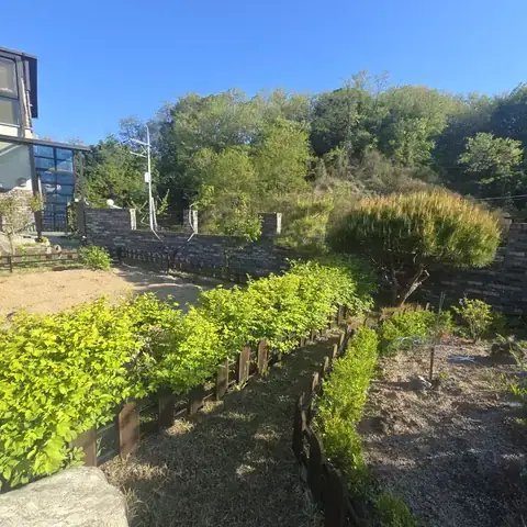 Tree Cutting & Landscaping 부산 사하