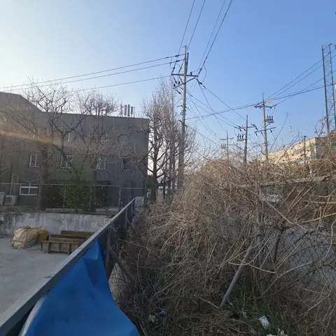 Tree Cutting & Landscaping Yongin