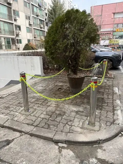 Tree Cutting & Landscaping 서울 은평