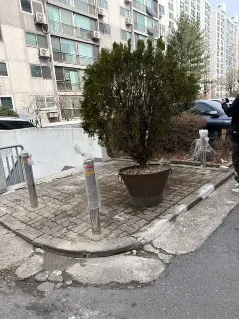 Tree Cutting & Landscaping 경기 안양