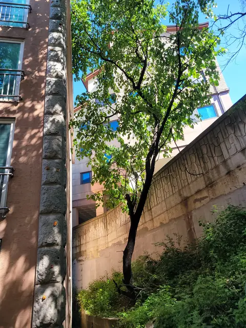 데크·조경·야외 시공 시공 사진