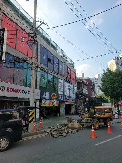 위험목 제거 경기 의왕