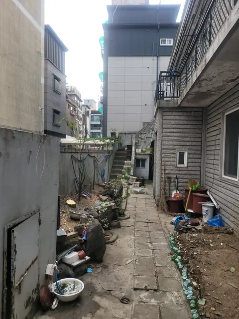 하남 쓰러진 나무 처리
