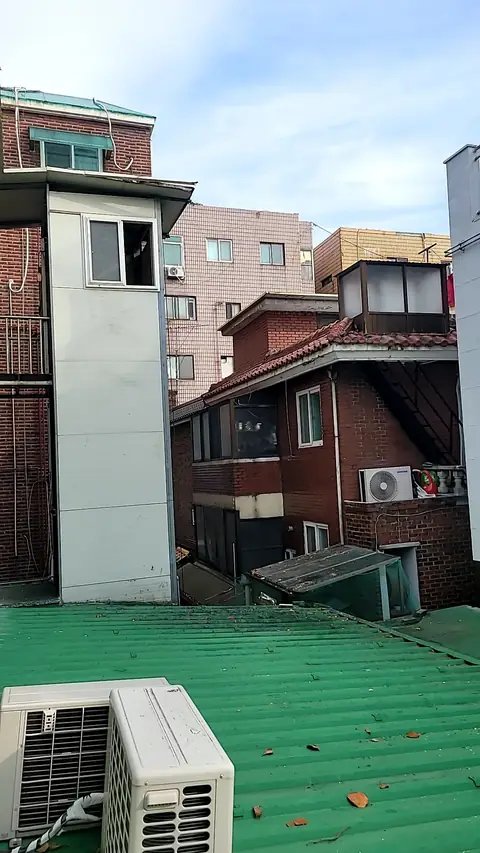 조경 정리 작업 서울 관악