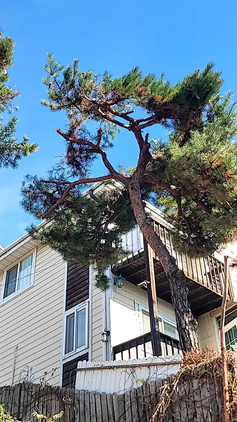 데크·조경·야외 시공 시공 사진