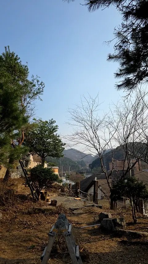 벌목 후 정리 경기 부천