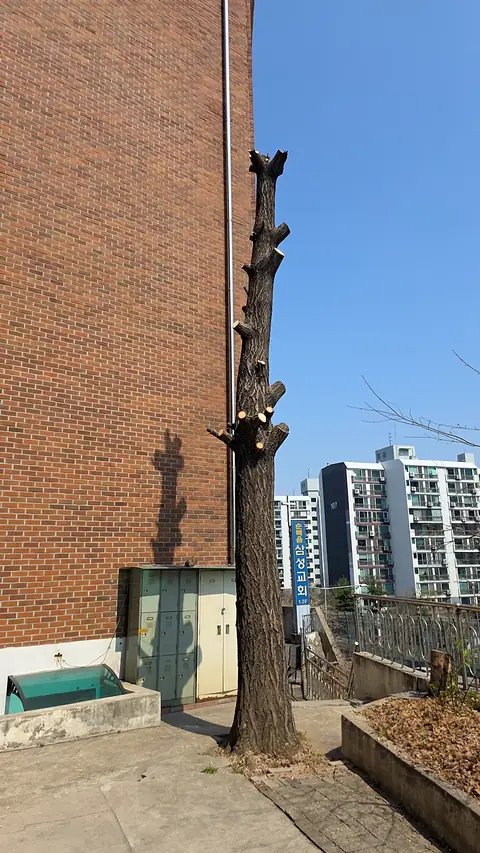 예초·벌초 작업 경기 안성