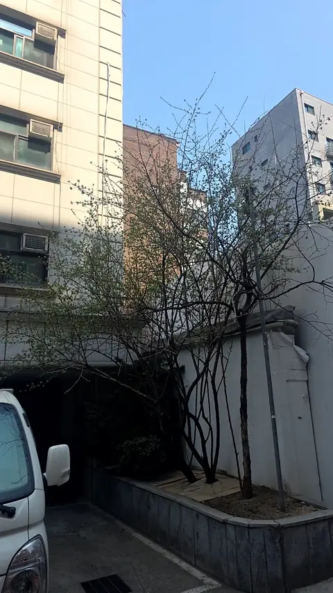 데크·조경·야외 시공 시공 사진