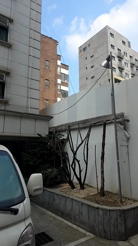 나무 벌목 경기 이천