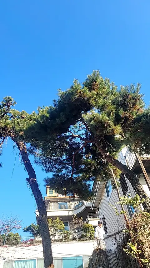 데크·조경·야외 시공 시공 사진