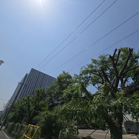 데크·조경·야외 시공 시공 사진