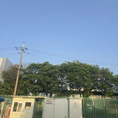 조경 정리 작업 경기 시흥