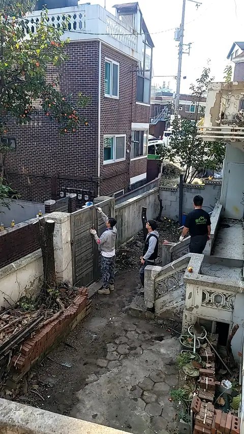 조경수 전지 경기 파주