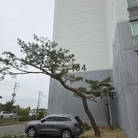 위험목 제거 경기 용인