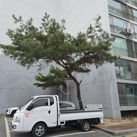 데크·조경·야외 시공 시공 사진