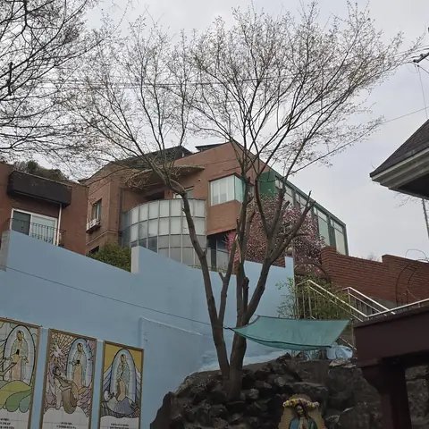 Tree Cutting & Landscaping 경기 김포