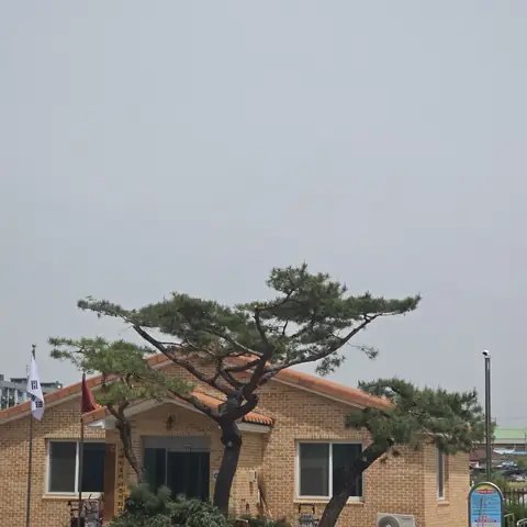 Tree Cutting & Landscaping 경기 시흥