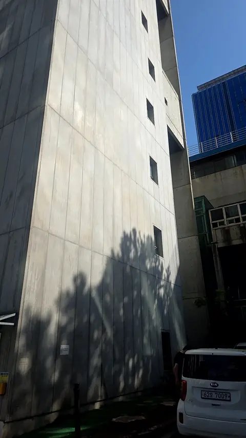 Tree Cutting & Landscaping 서울 동대문