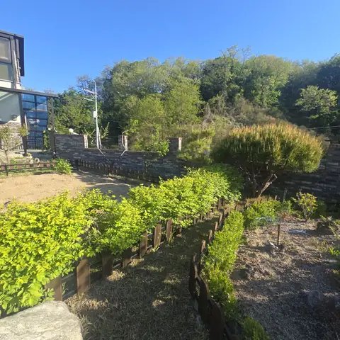 Tree Cutting & Landscaping 서울 성북