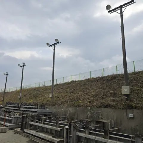 Tree Cutting & Landscaping 경기 남양주