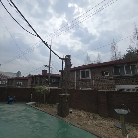 위험목 제거 경기 군포