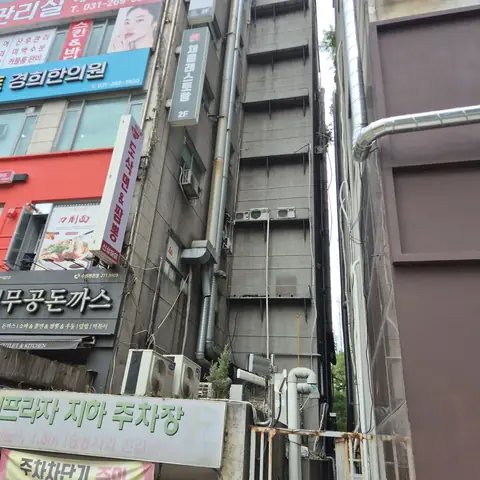 가지치기 작업 경기 성남