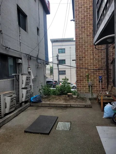 생활목 벌목 서울 관악