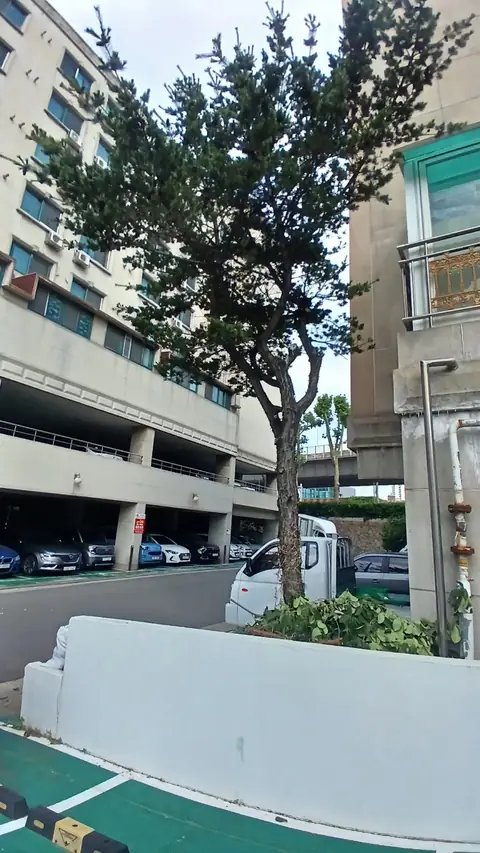위험목 제거 경기 의왕