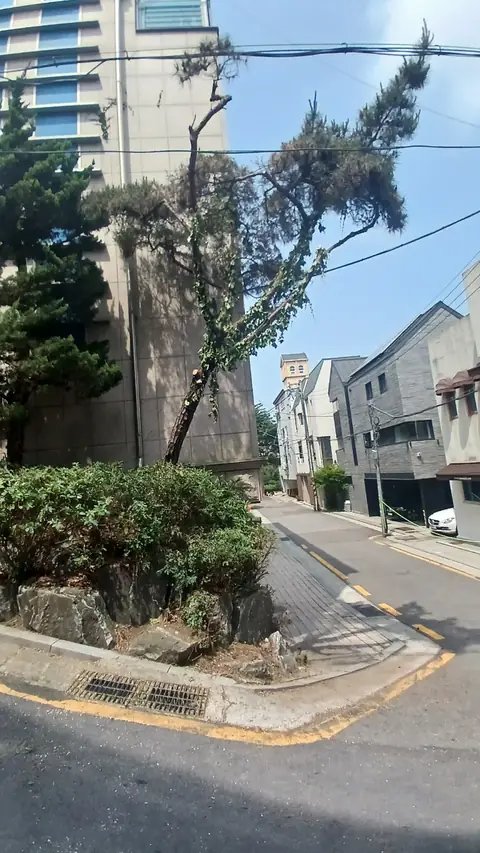 가지치기 작업 경기 안산
