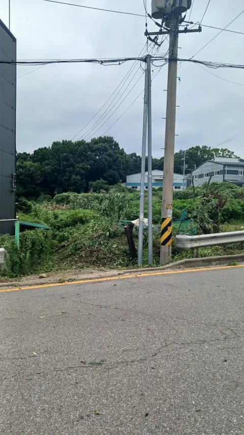조경 정리 작업 인천 부평