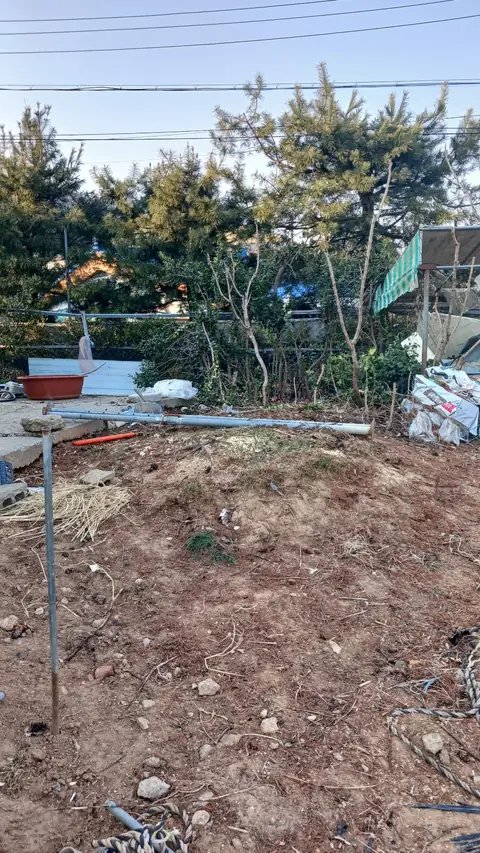 월담목 제거 경기 광주